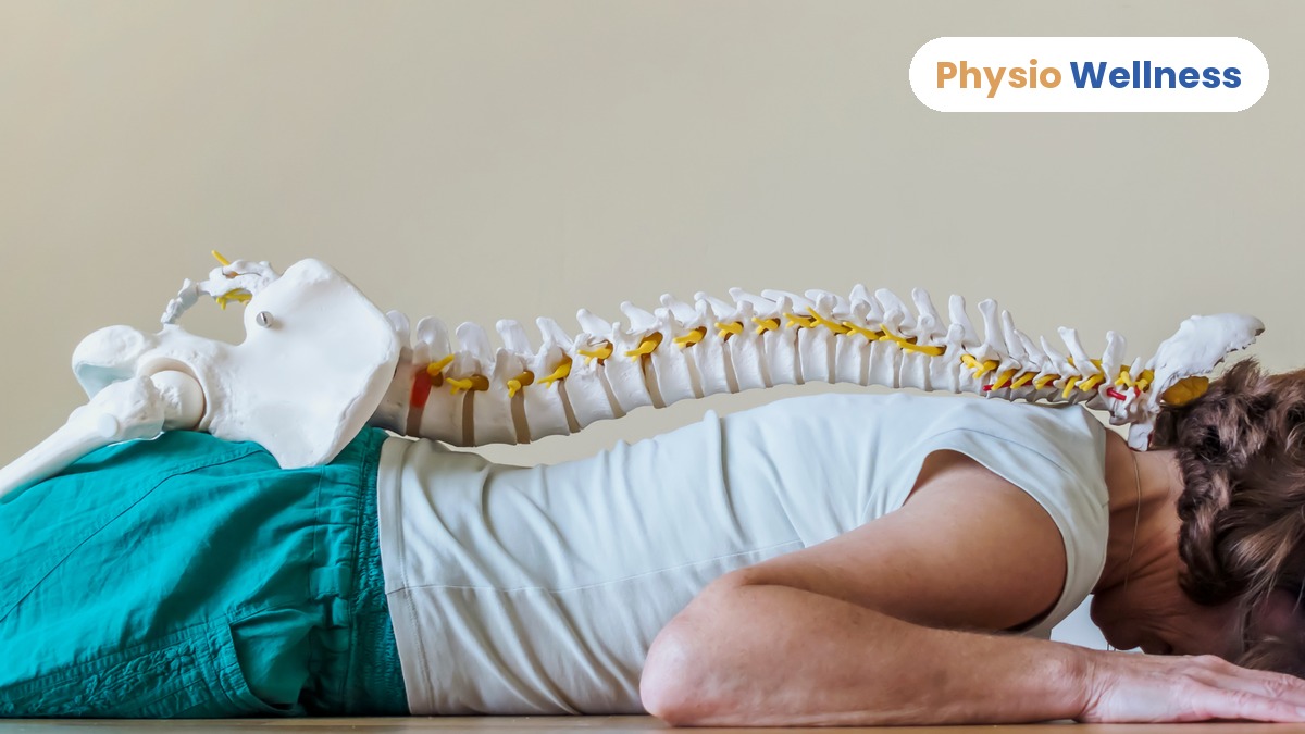 Spinal decompression therapy in Etobicoke, patient lying prone with spine anatomy overlay